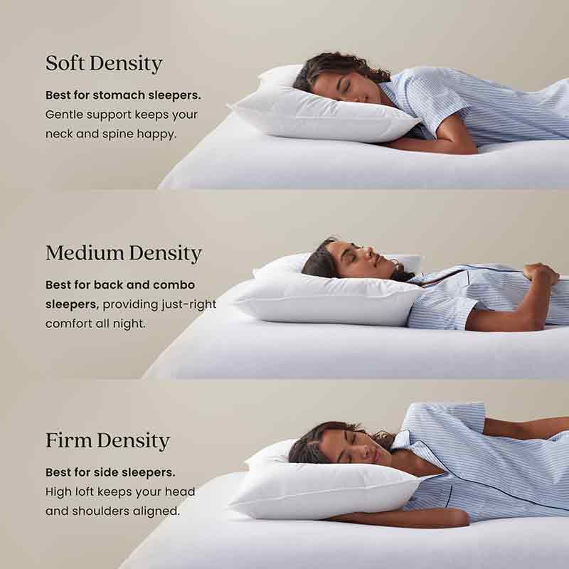 Best Down Premium Pillow