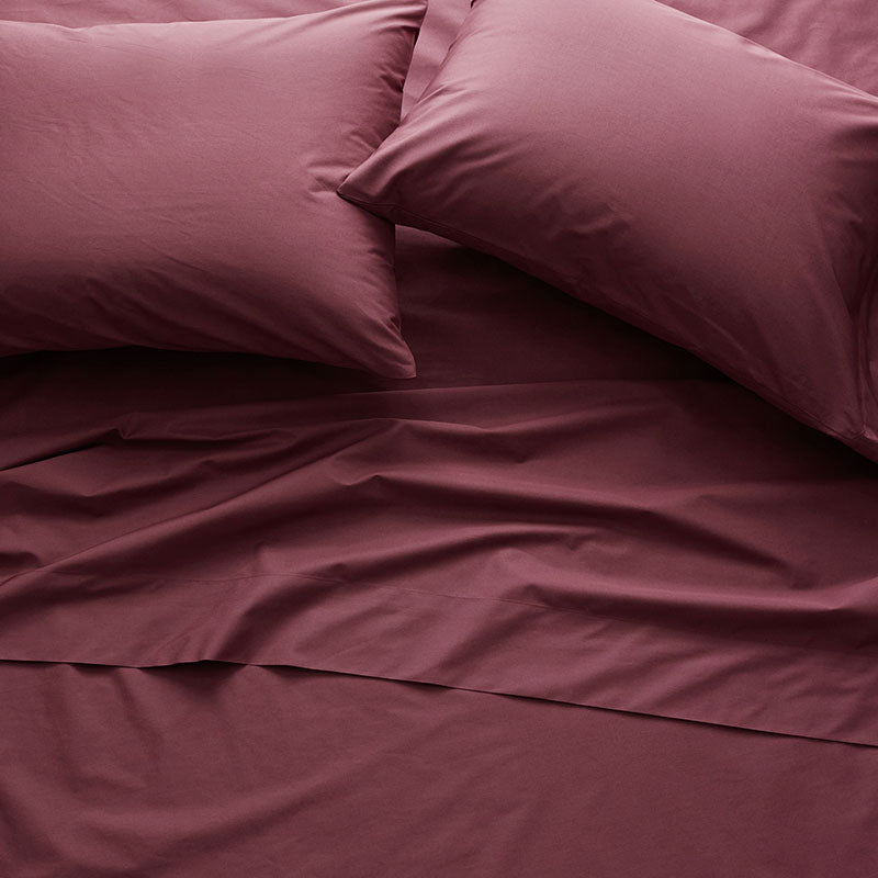 Classic Cool Cotton Percale Sham