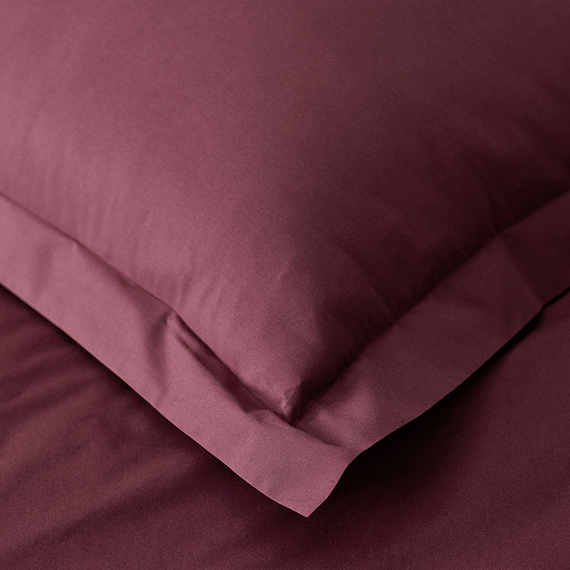 Classic Cool Cotton Percale Sham