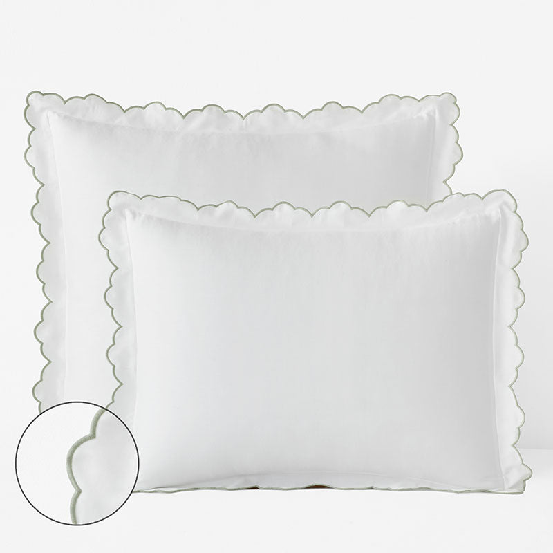 Embroidered Scallop Classic Smooth Sateen Solid Sham