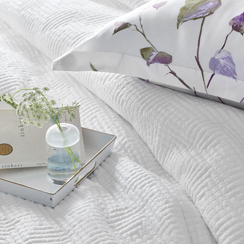 Premium Smooth Cotton Sateen Solid Quilt