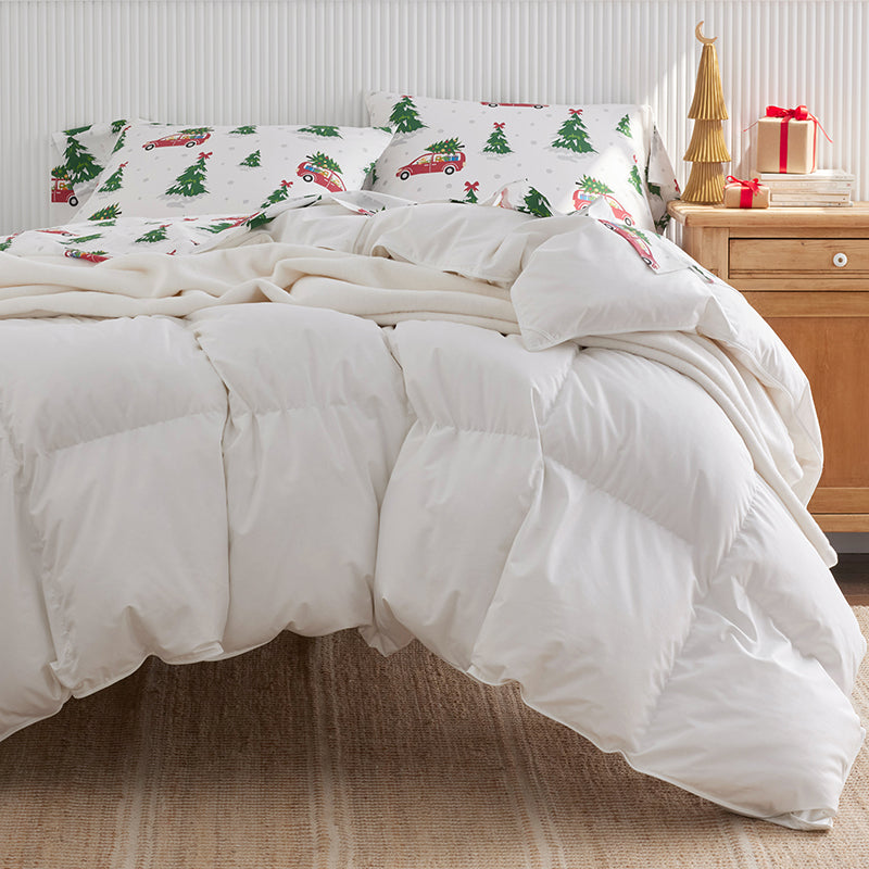 Holiday Print Classic Cool Cotton Percale Pillowcase Set