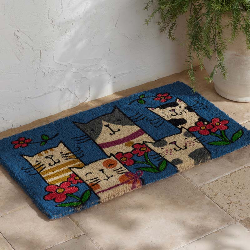 Summer Novelty Coir Doormat
