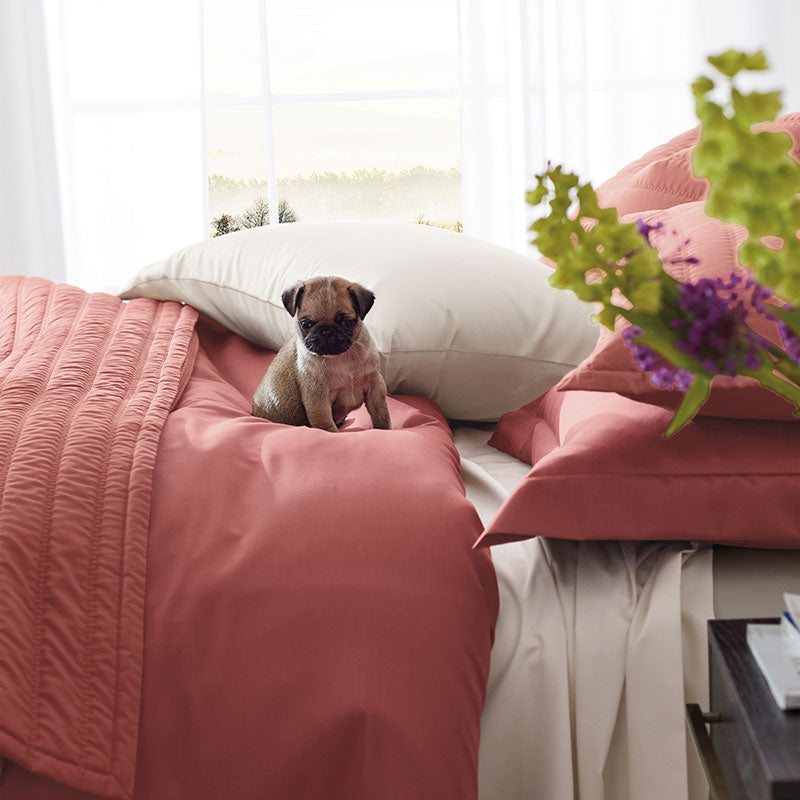 Premium Smooth Supima® Cotton Wrinkle-Free Sateen Fitted Bed Sheet