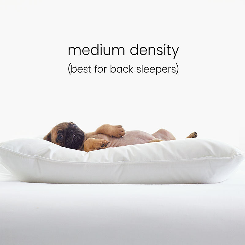 4-Piece Best Down Pillow & Protector Bundle