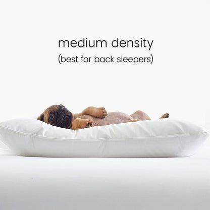 4-Piece Best Down Pillow & Protector Bundle