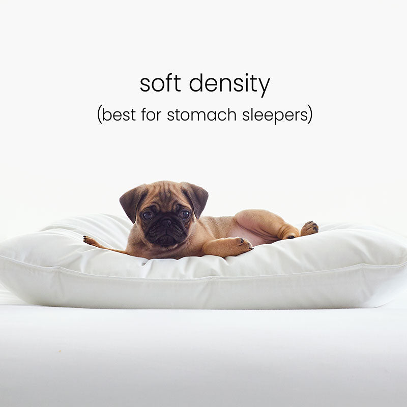 4-Piece Best Down Pillow & Protector Bundle