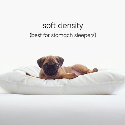 5-Piece Down Alternative Comforter & LoftAIRE™ Pillow Bundle
