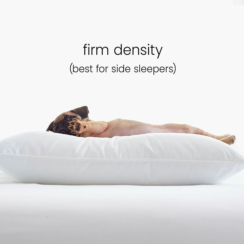 8-Piece Percale & LoftAIRE™ Down Alternative Bedding Bundle