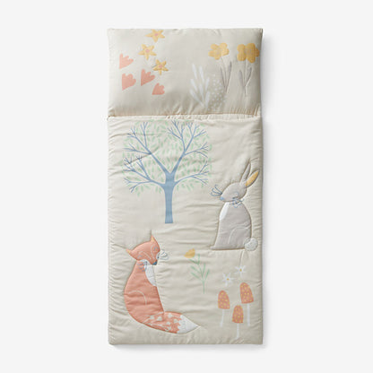 Character Sleeping Bag