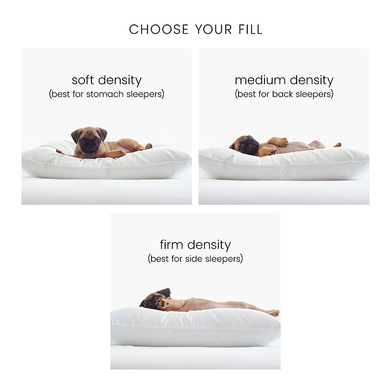 5-Piece Down Alternative Comforter & LoftAIRE™ Pillow Bundle