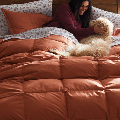 Quilted Sham