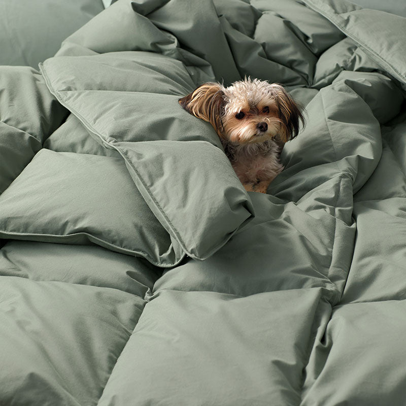 Quilted Sham