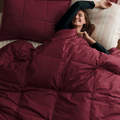 Premium Down Comforter