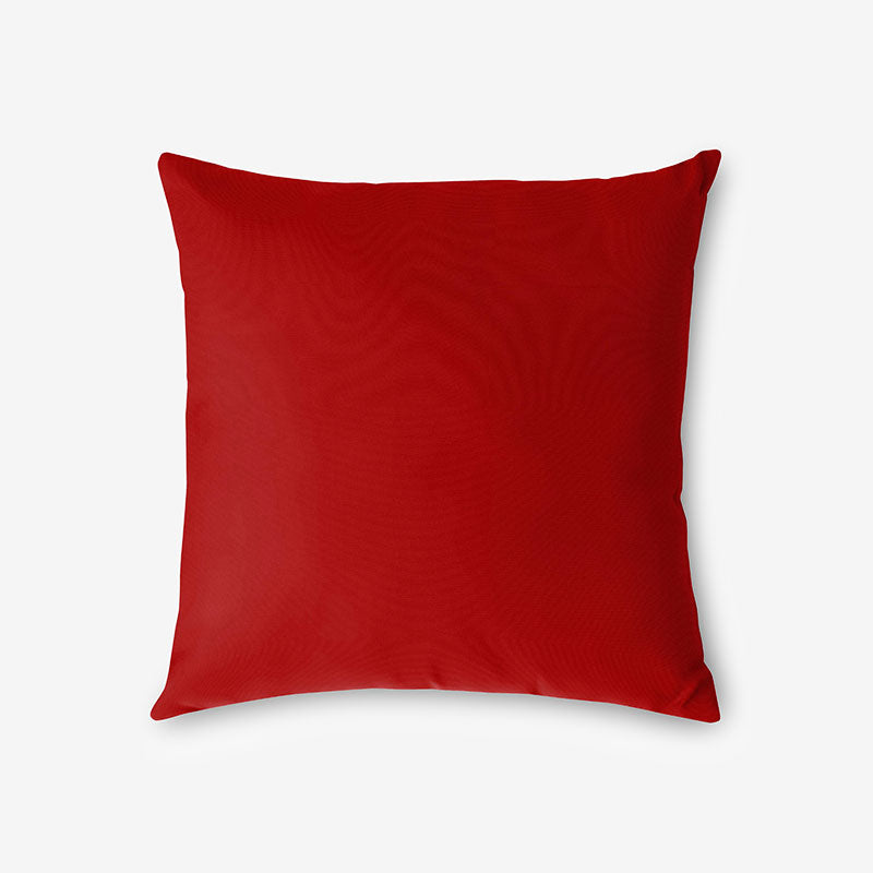 Indoor/Outdoor Toss Pillow