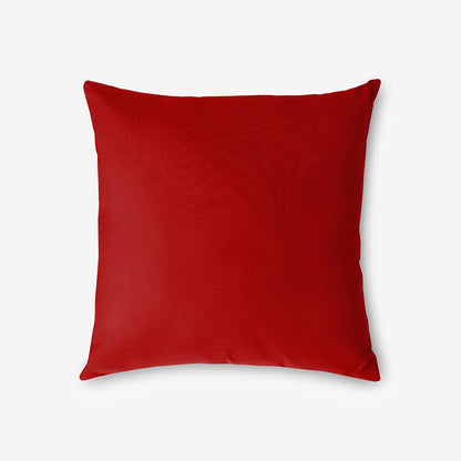 Indoor/Outdoor Toss Pillow