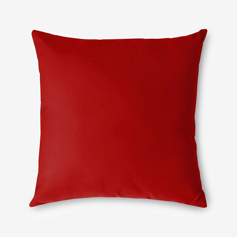 Indoor/Outdoor Toss Pillow