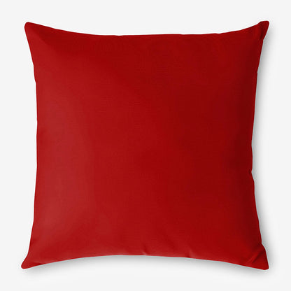 Indoor/Outdoor Toss Pillow