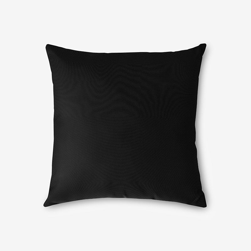 Indoor/Outdoor Toss Pillow