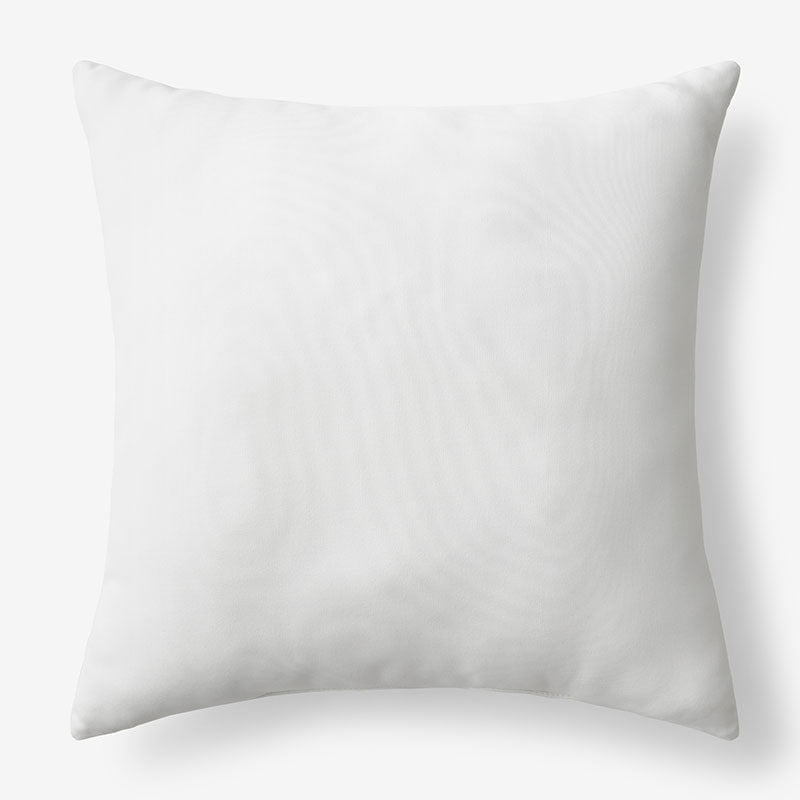 Indoor/Outdoor Toss Pillow