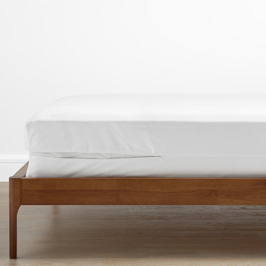 Mattress/Box Spring Protector