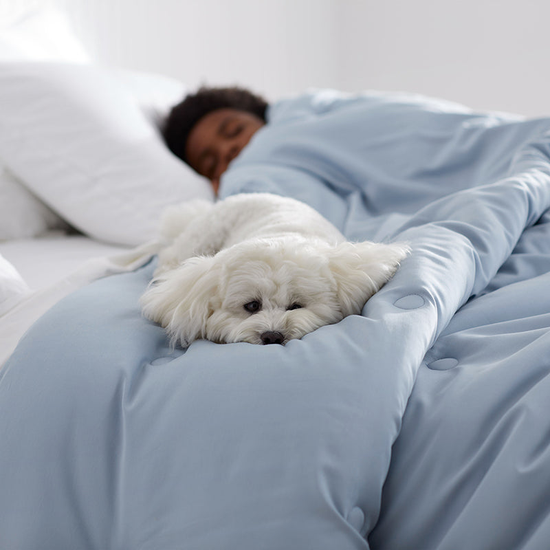 Classic Smooth Rayon Made From Bamboo Sateen Comforter