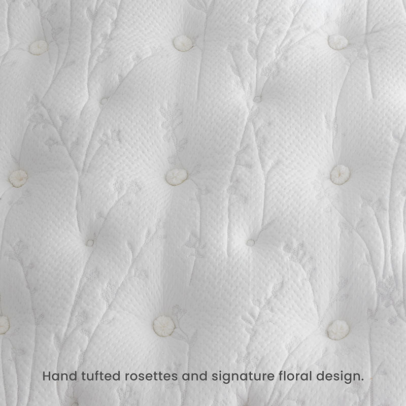 The Company Store Mattress