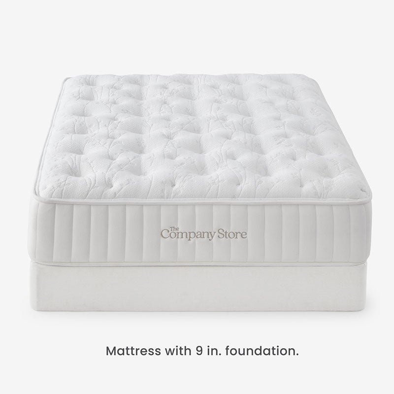 The Company Store Mattress