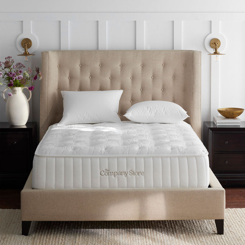 The Company Store Mattress