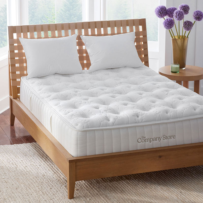 The Company Store Mattress