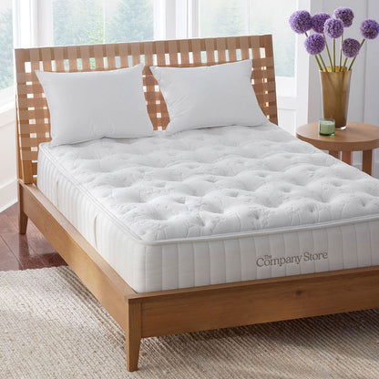 The Company Store Mattress