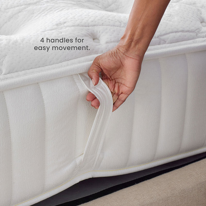 The Company Store Mattress