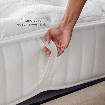The Company Store Mattress