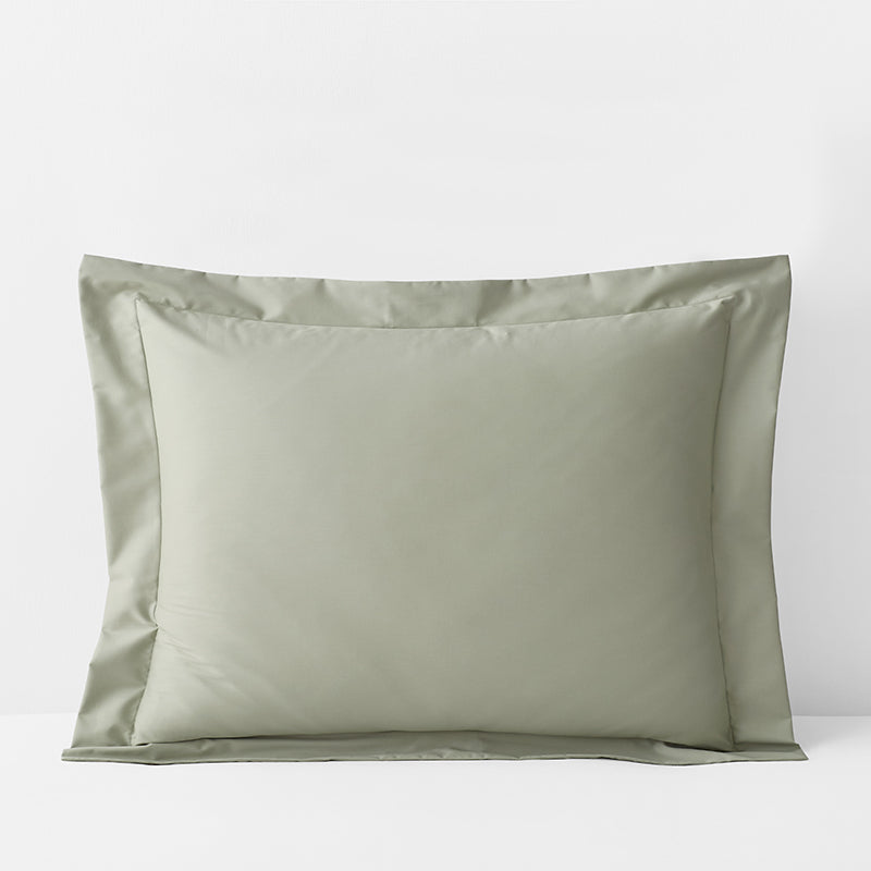 Classic Smooth Cotton Wrinkle-Free Sateen Sham
