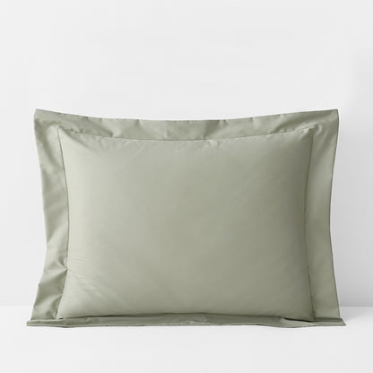 Classic Smooth Cotton Wrinkle-Free Sateen Sham