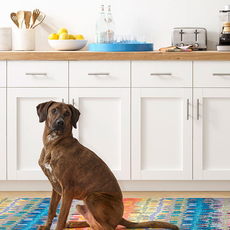 Paint Chip Washable Rug