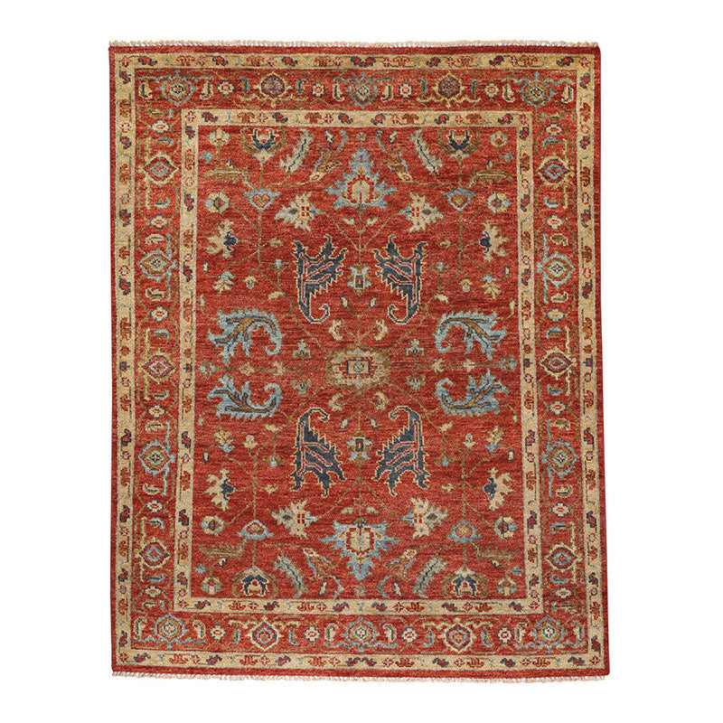 Hand Knotted Traditional Wool Rug