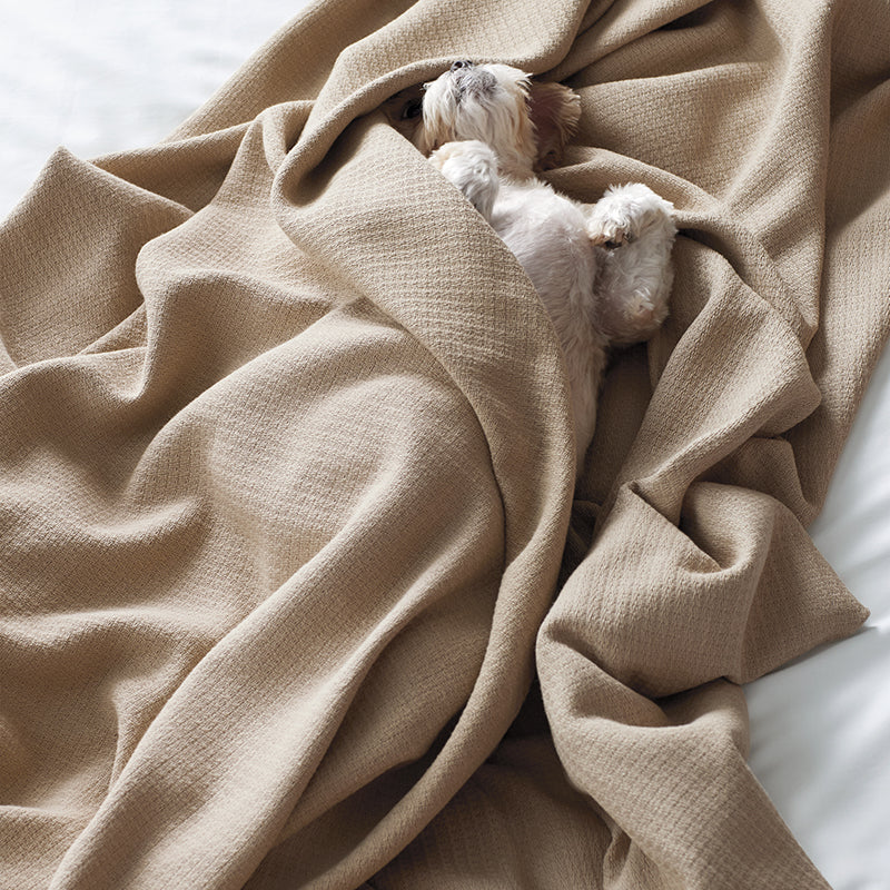Cotton Weave Blanket
