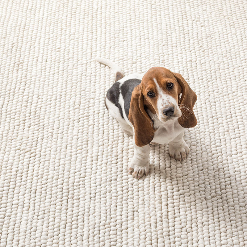 Chunky Handwoven Wool Rug