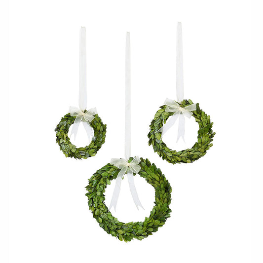 Preserved Boxwood Wreaths with Ivory Ribbon, Set of 3