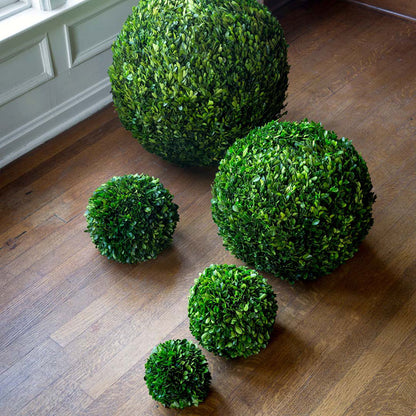 Preserved Boxwood Ball