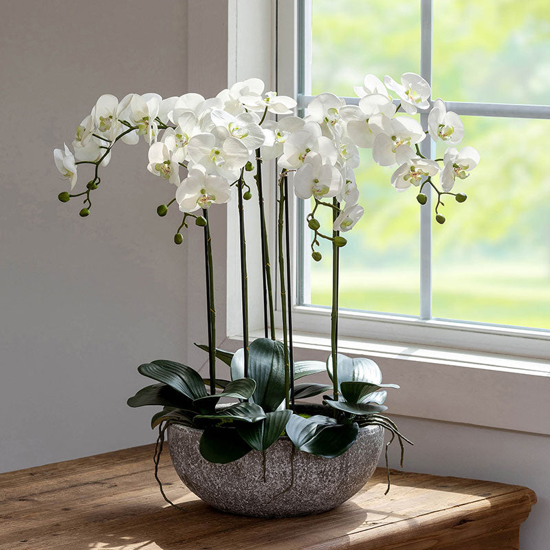Faux Orchid Plant in Decorative Bowl
