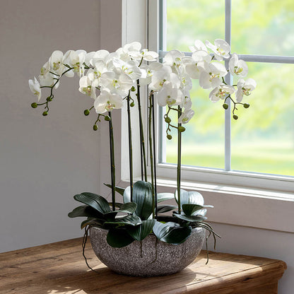 Faux Orchid Plant in Decorative Bowl