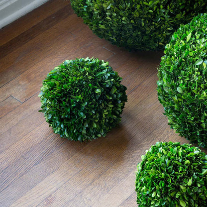 Preserved Boxwood Ball