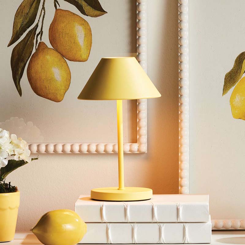 Metal Shade Rechargeable Cordless Lamp